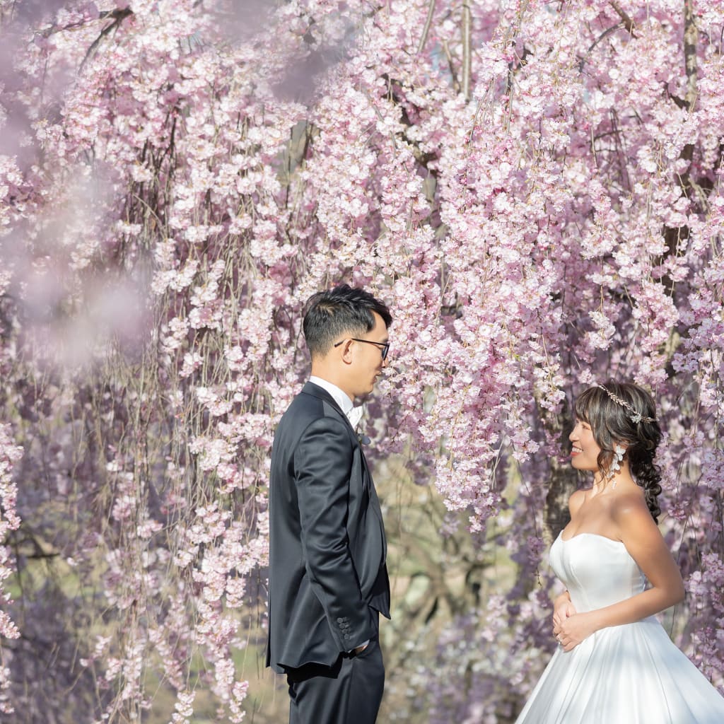  今年も軽井沢ロケ受付中！【桜ロケもやってます！】