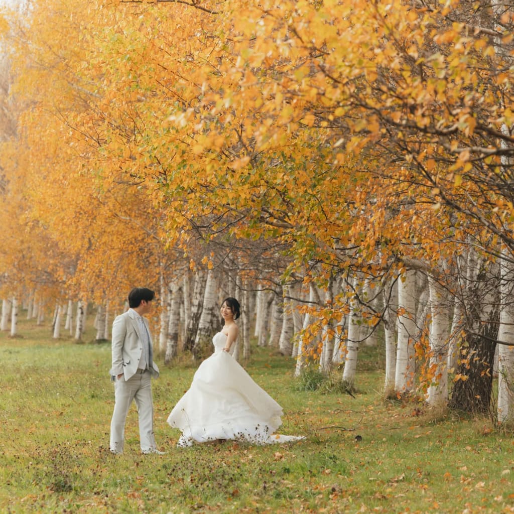 紅葉×白樺の木！札幌市内で叶える、北海道らしいウエディングフォト！
