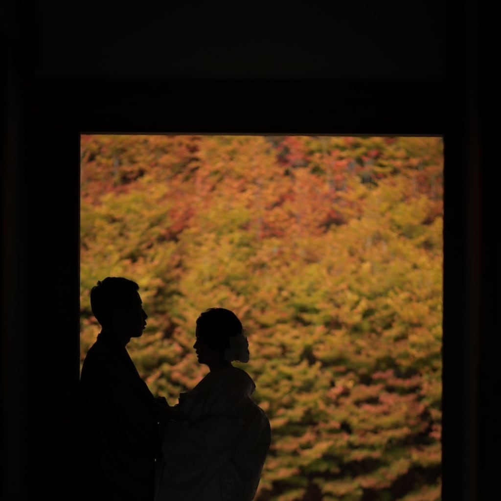 紅葉グラデーション🍁