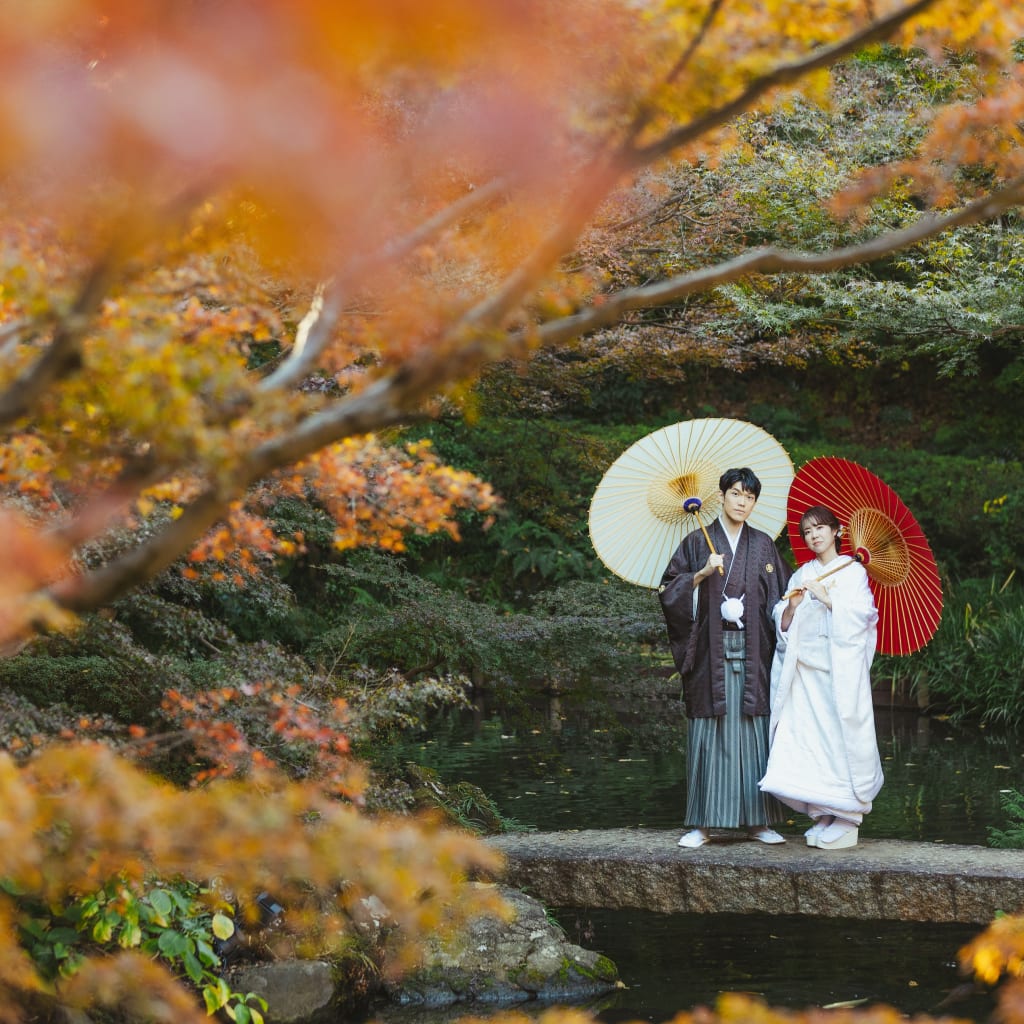 池田山の紅葉が見頃です！