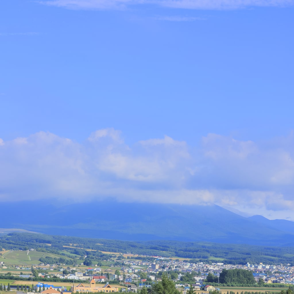 美瑛・富良野のカラフルなお花畑でロケーション撮影♫