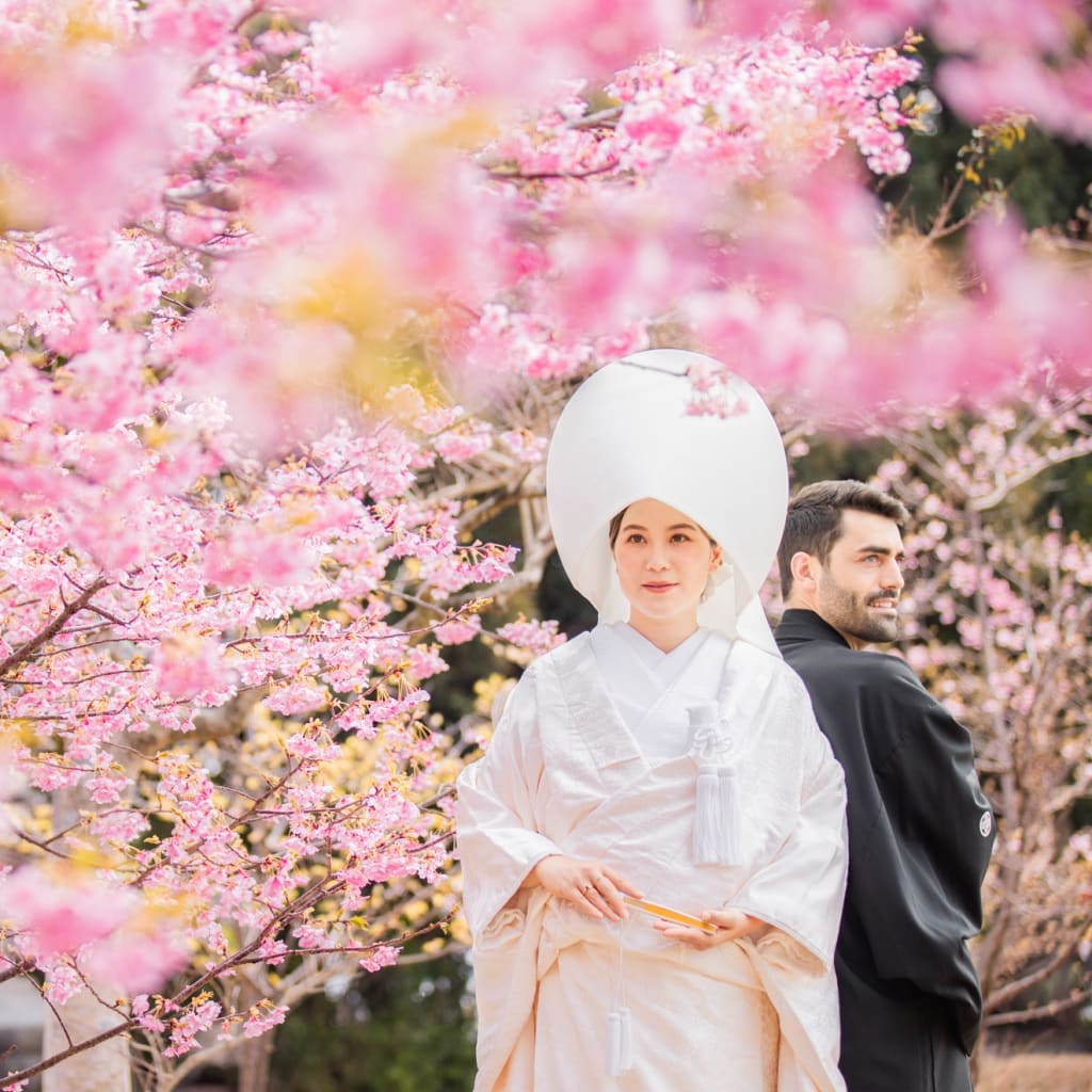 富士山の麓も早咲き桜が咲き始めました