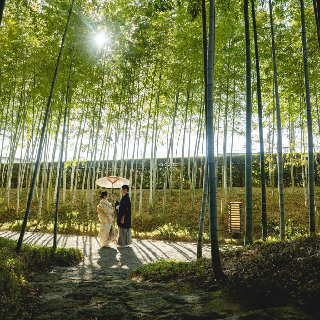 花田苑ロケーション