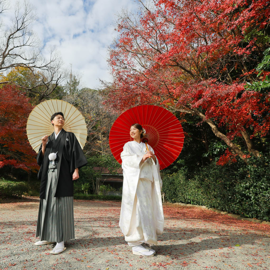 紅葉・木漏れ日・夕暮れの光　photo　by　谷澤明美