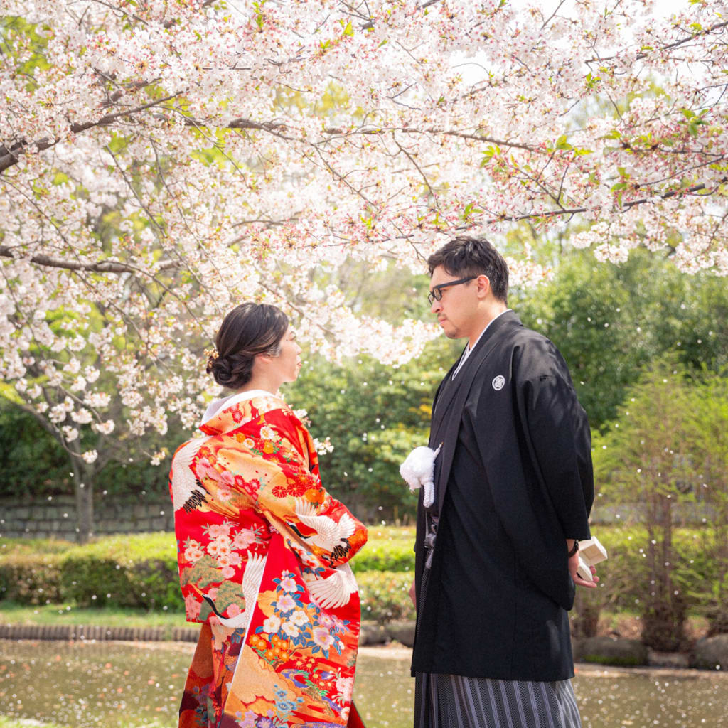 【また来年のお楽しみ】桜ロケーション