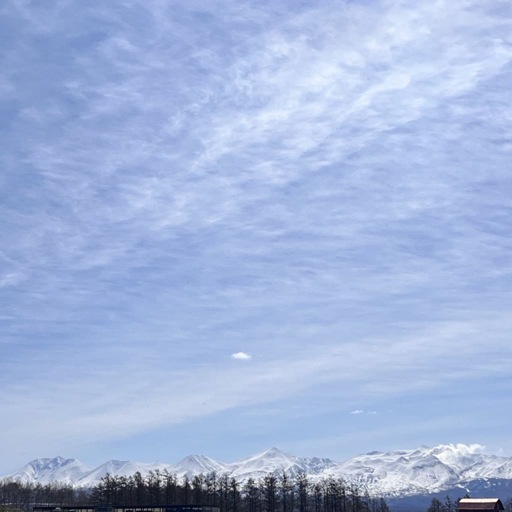 春が待ち遠しい