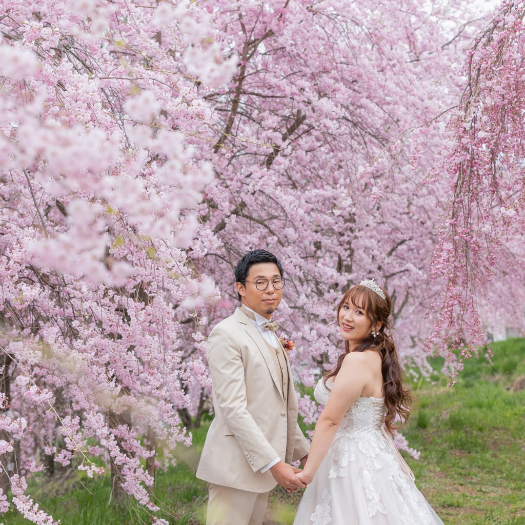 2025年　軽井沢桜のロケーション🌸受付中！