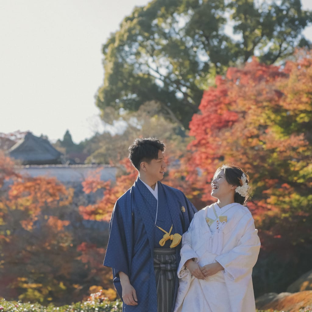 だるまと一緒に / in勝尾寺