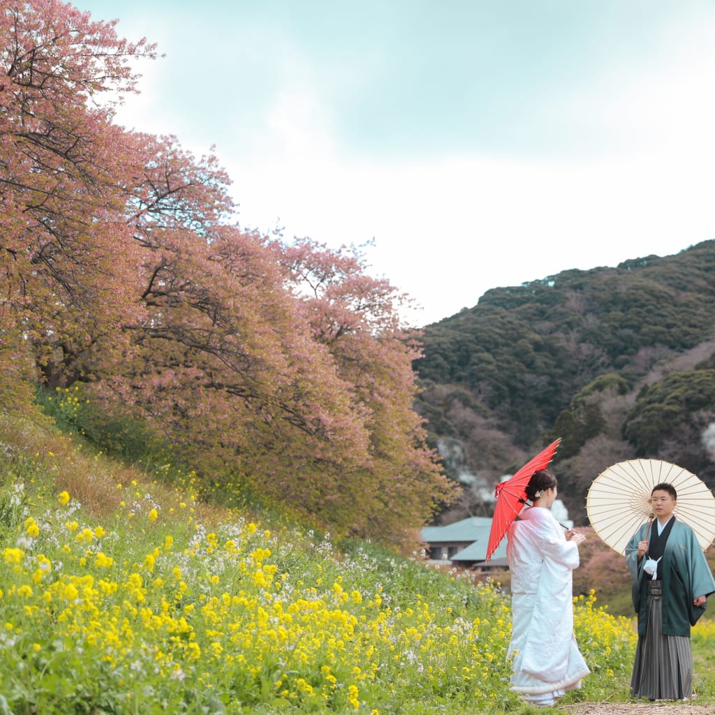 和装桜ロケーション！