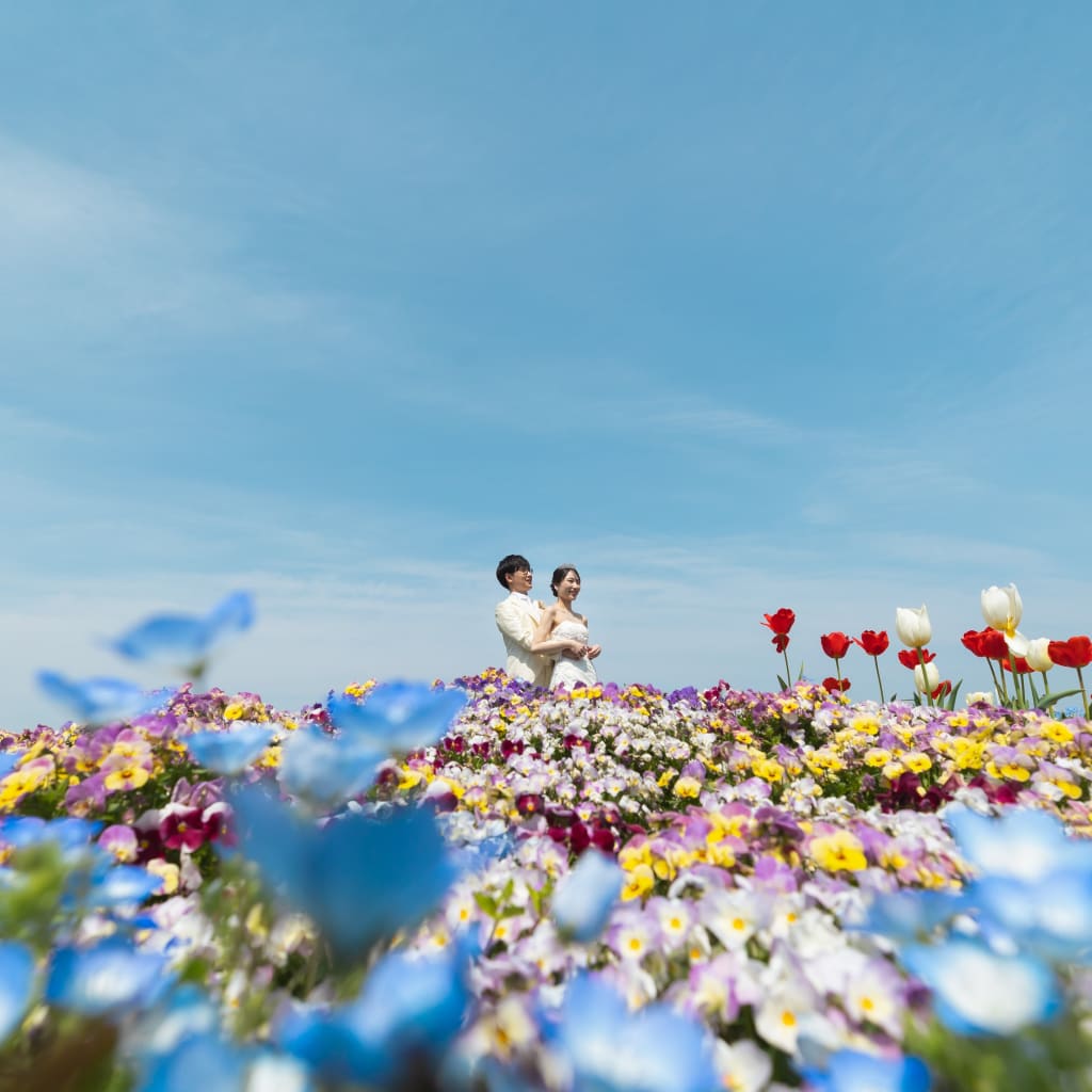 山下公園ロケ：  花々に包まれる恋のメロディー