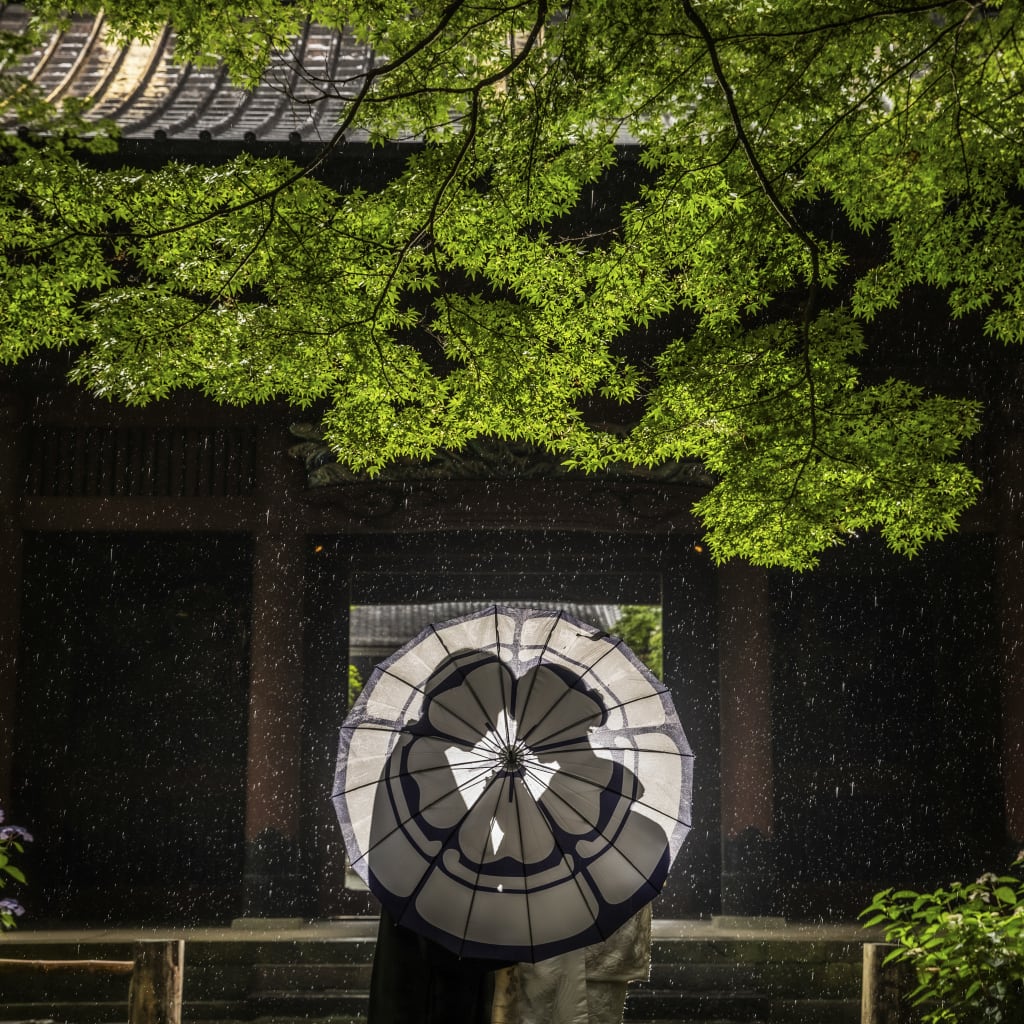 雨の日の妙本寺