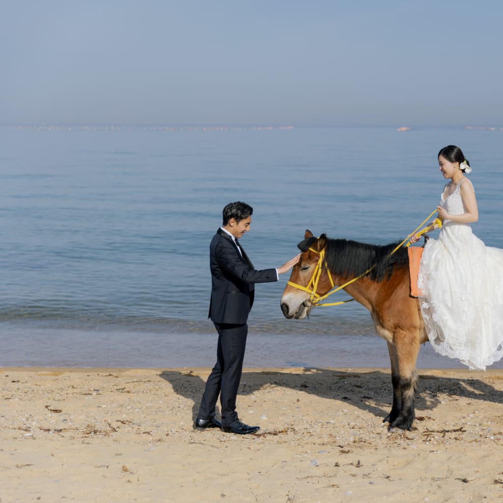 東浦海岸での乗馬撮影
