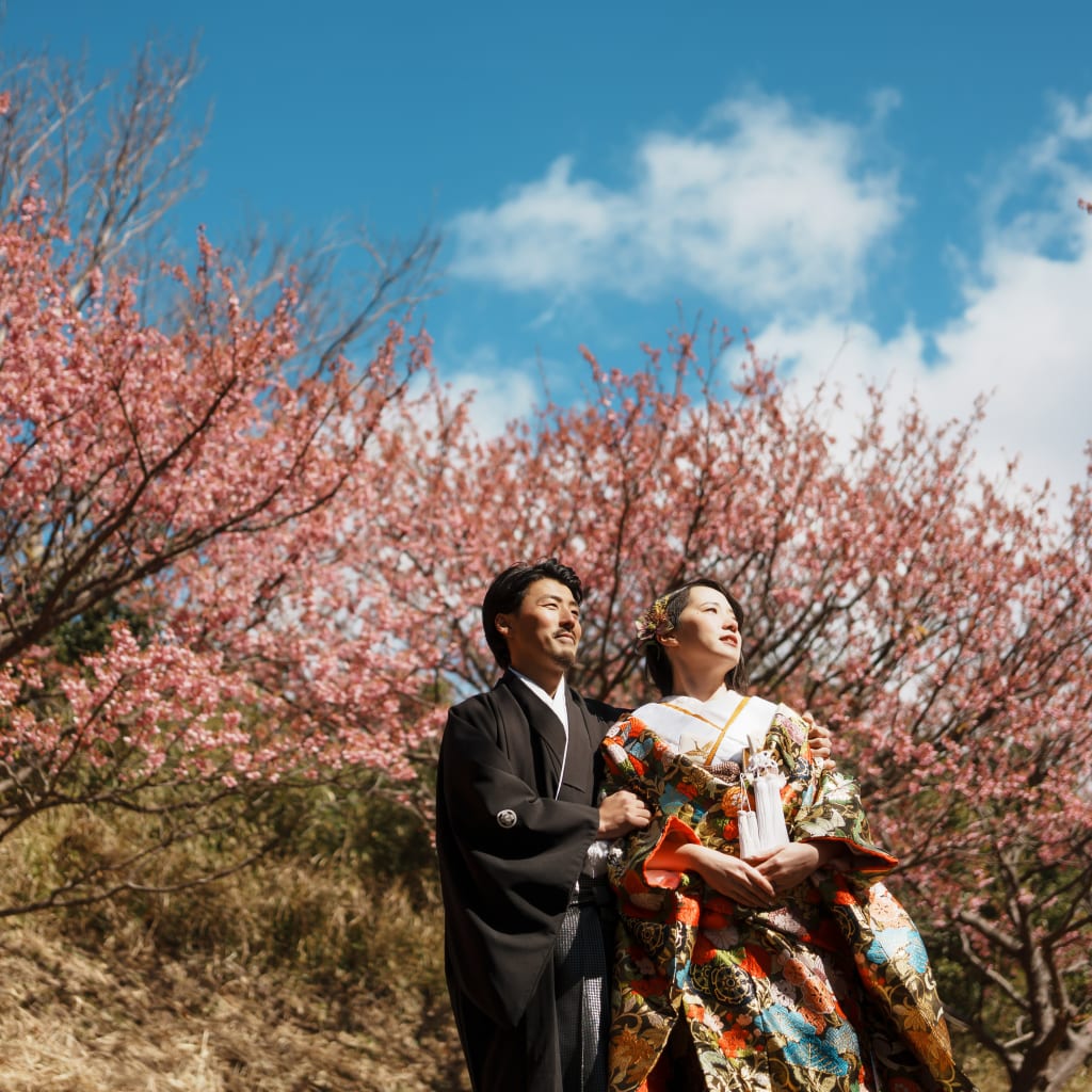  2月に咲く河津桜のご紹介！