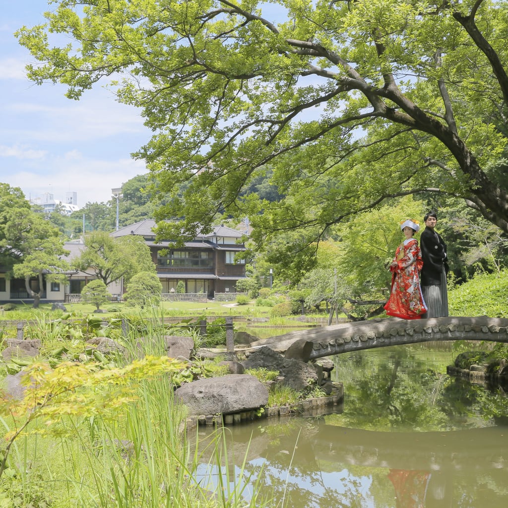 夏先取りー肥後細川庭園！