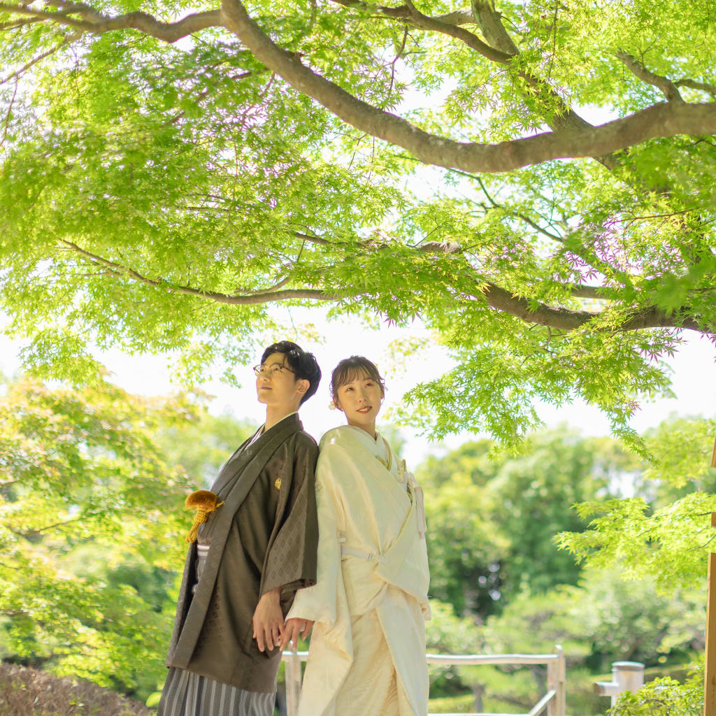 新緑溢れる大仙公園