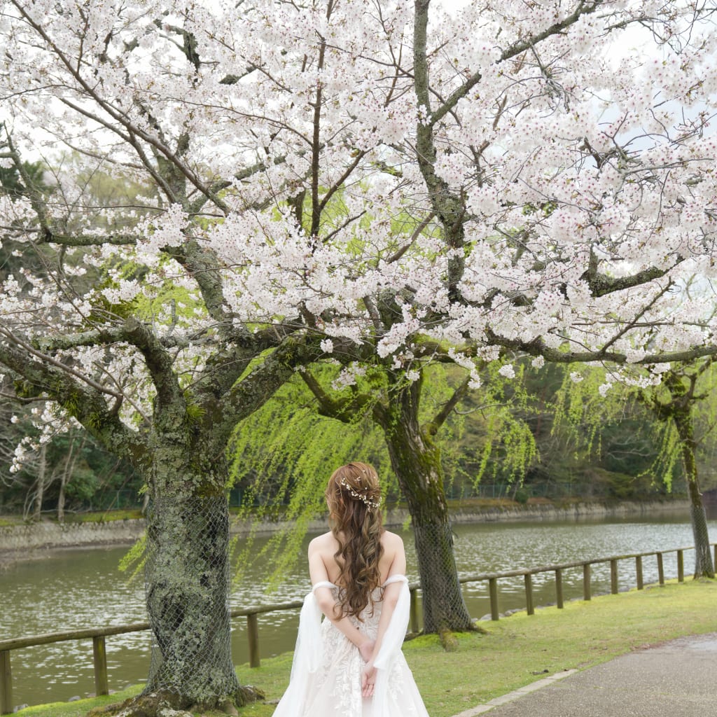 洋装の桜ロケーション撮影🌸