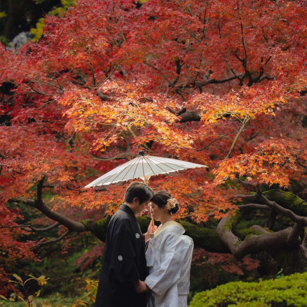 まだ間に合う！紅葉撮影！ご予約お待ちしております🍂