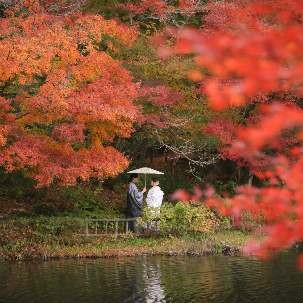 11月下旬紅葉撮影してきました！