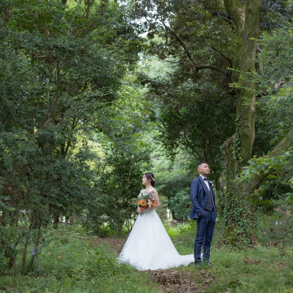 京都自然公園ロケーション