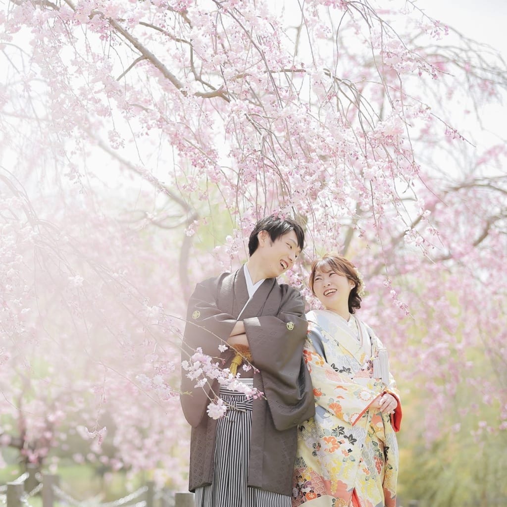2026年桜ロケーション【和装人気ロケ地TOP3】