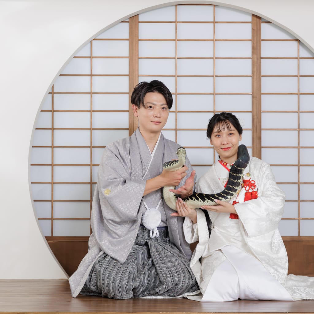 ペットとの撮影、蛇と猫！