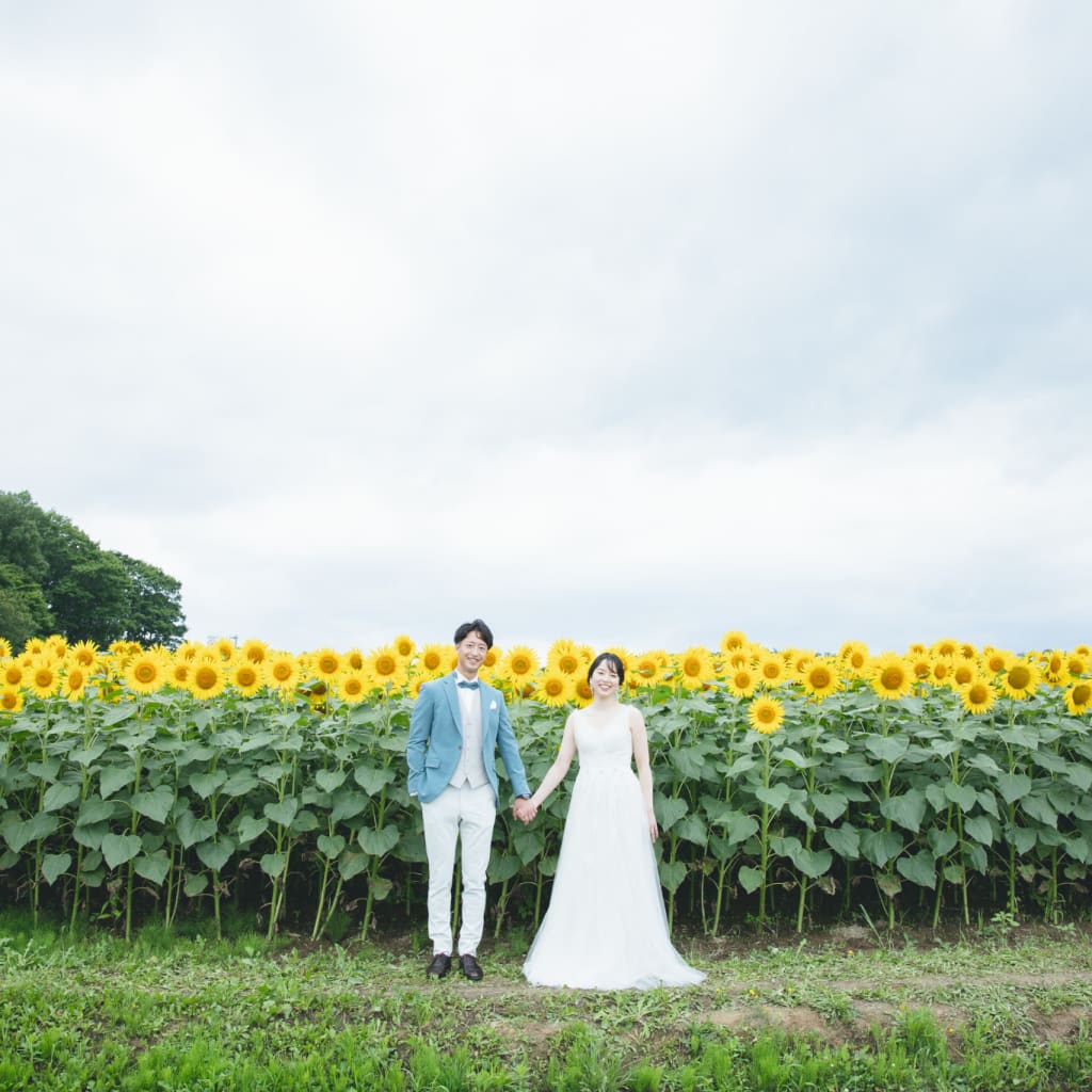 美瑛でもひまわりで撮影いかがですか🌻