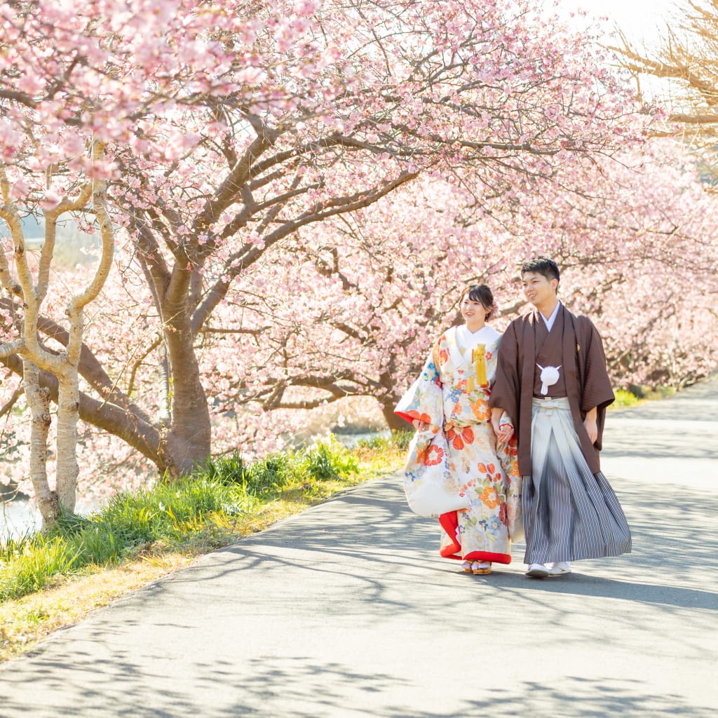 2月に桜が満開になる!?期間限定33,000OFFの伊豆プランのご予約受付が始まっています🌸