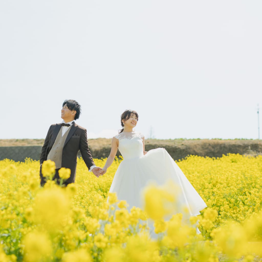 菜の花のお花畑