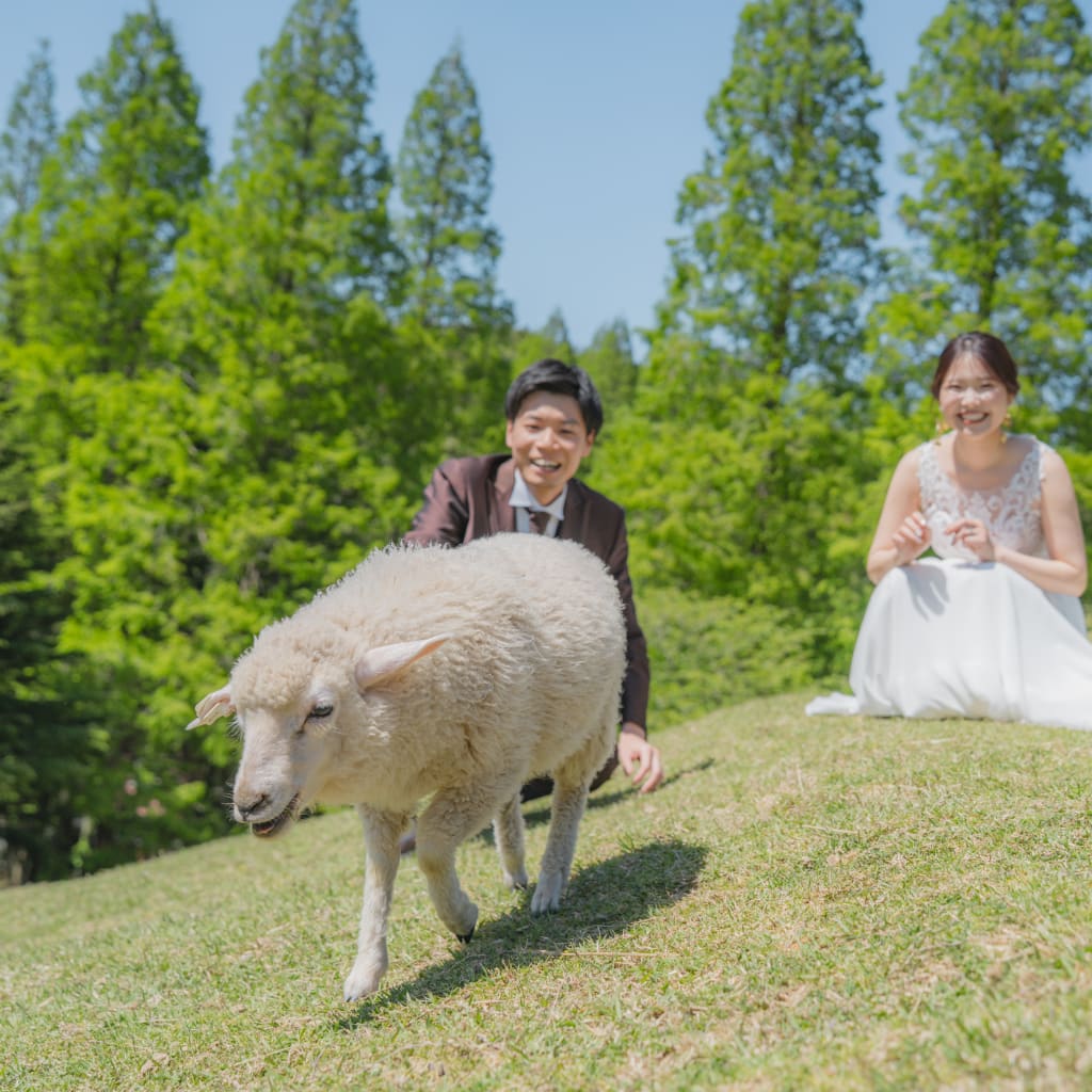 「結婚写真は、もっと自由でいい。」
