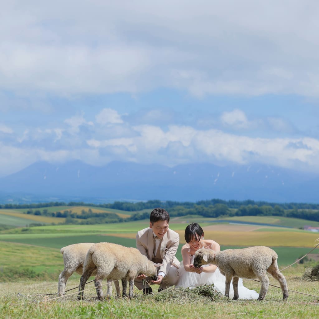 可愛い動物達とTHE北海道の景色をバックにフォト撮影✨