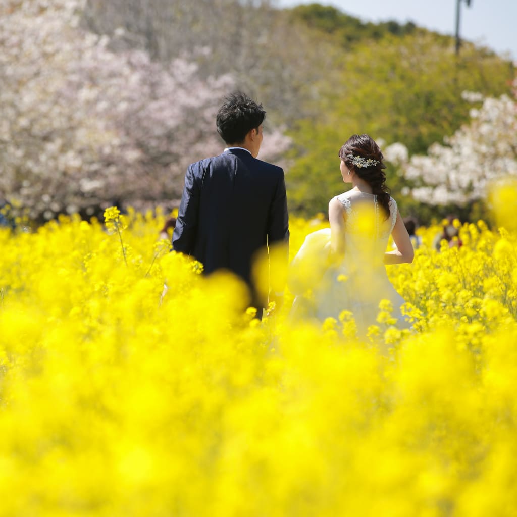 お花の季節がやってきました🌸