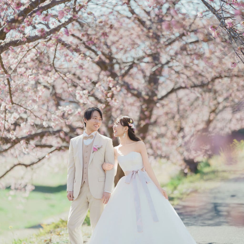 【スタジオAQUA】桜をひと足先に！河津桜のご紹介！