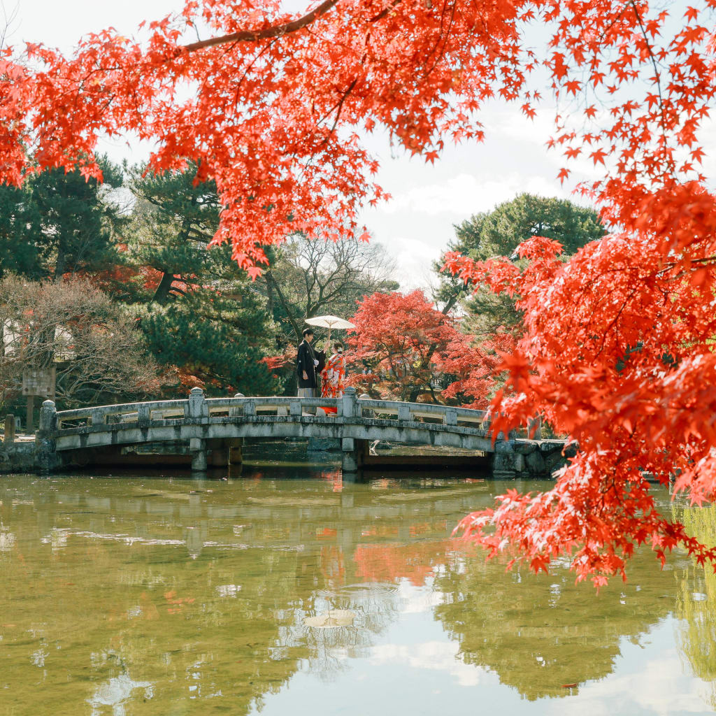 京都の街並みと自然を堪能！八坂+円山公園ロケーション