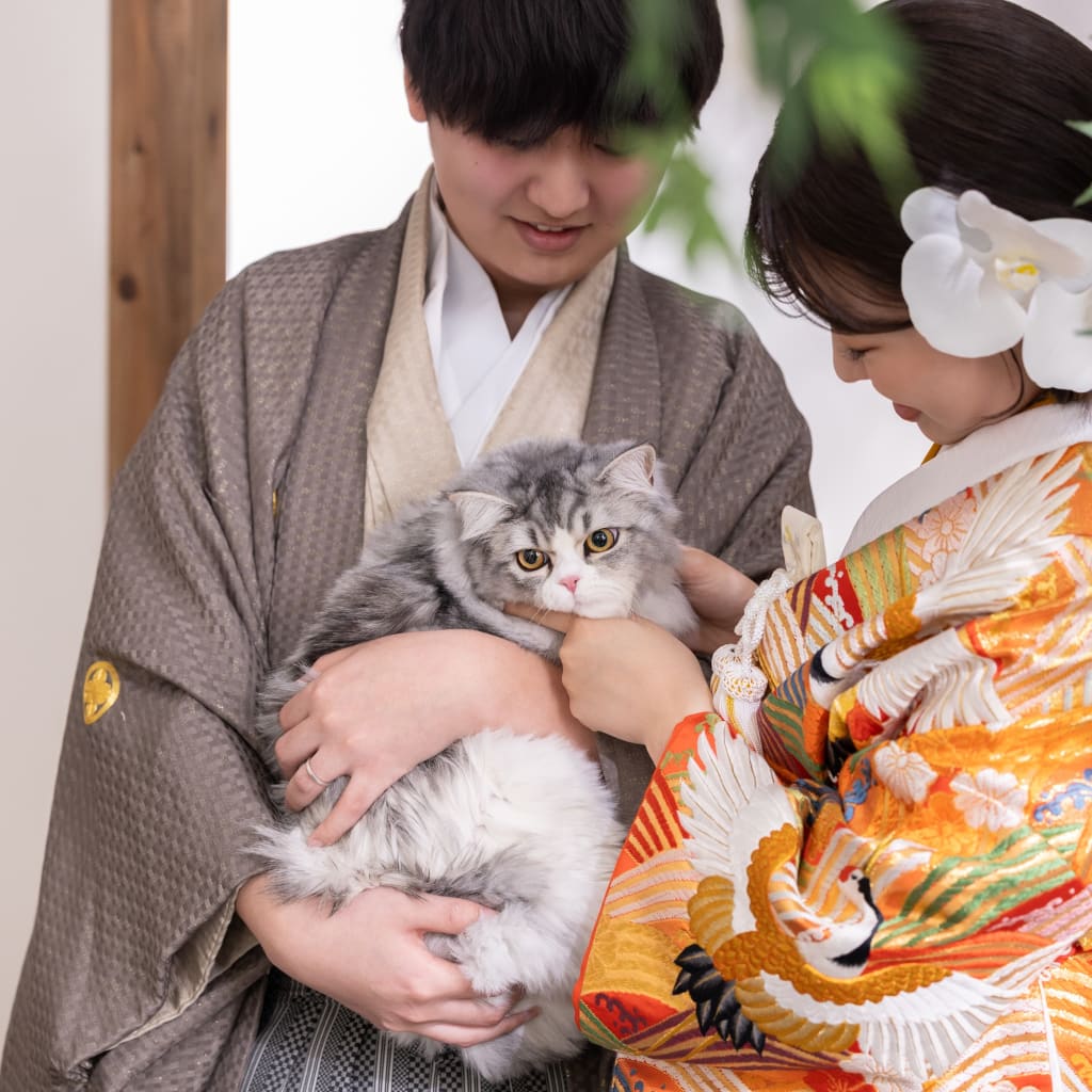 にゃんこDAY🐈♩