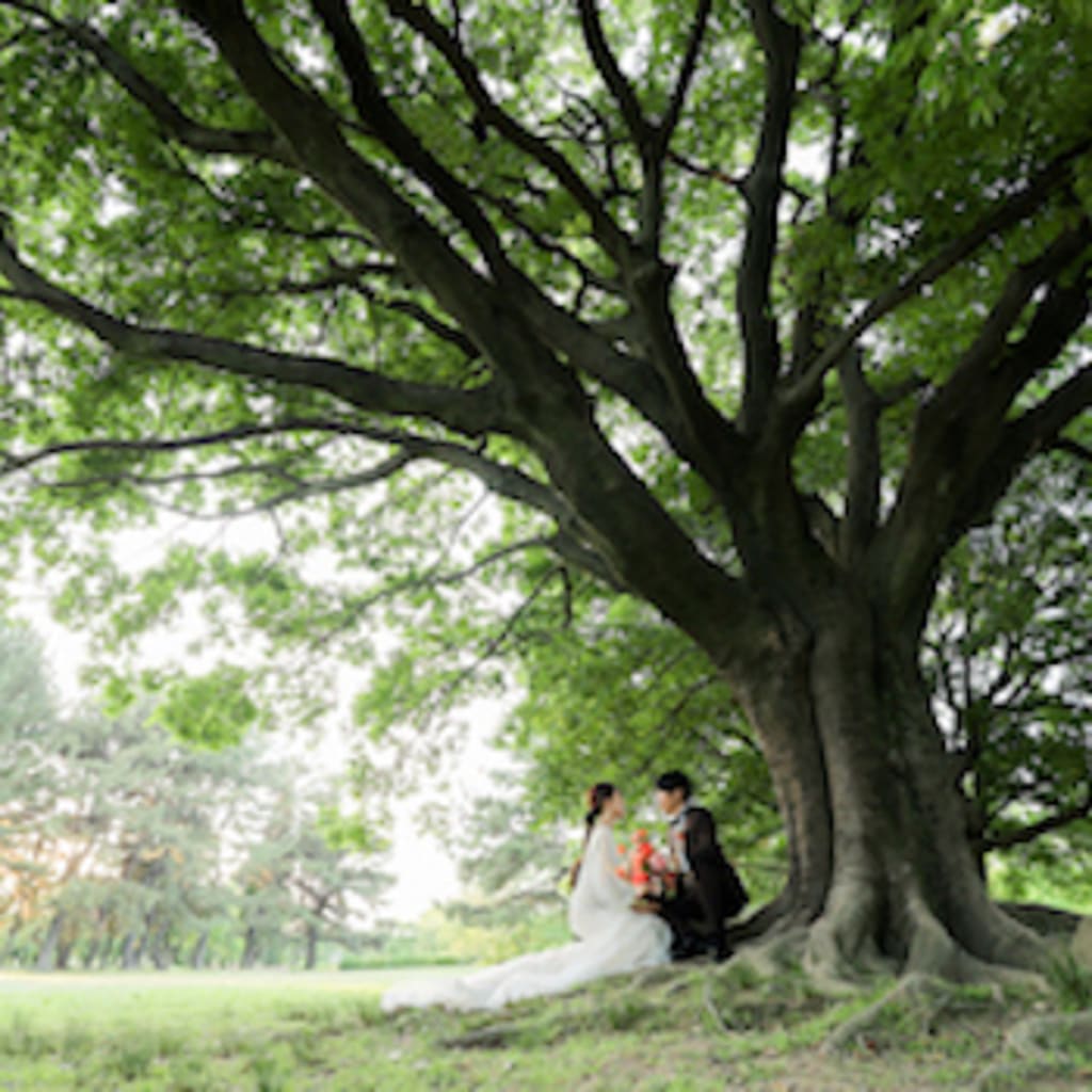庄内緑地公園洋装ロケーション