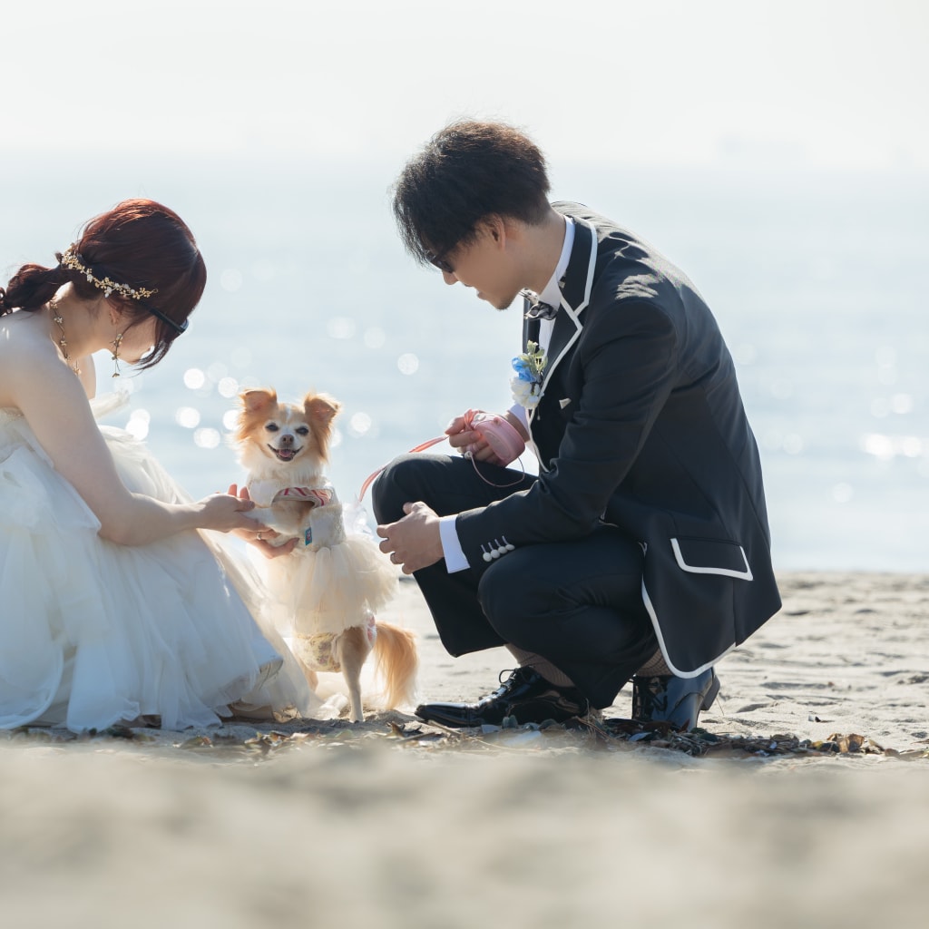 【スタジオAQUA】愛犬と空と海と