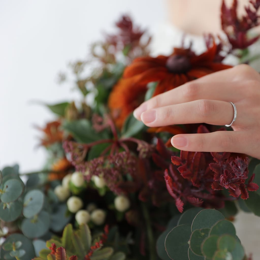 スタジオPLUS。II