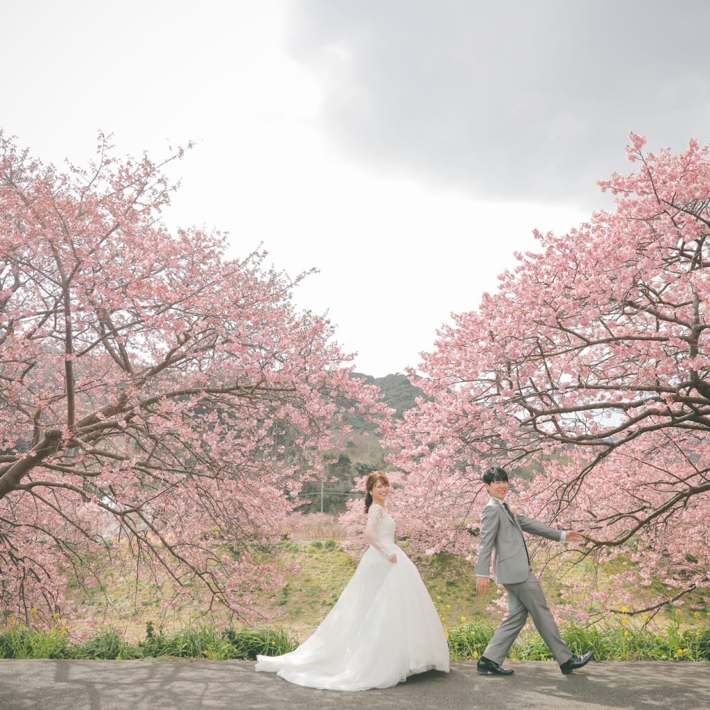 ご予約枠残りわずか🌸河津桜ロケーション