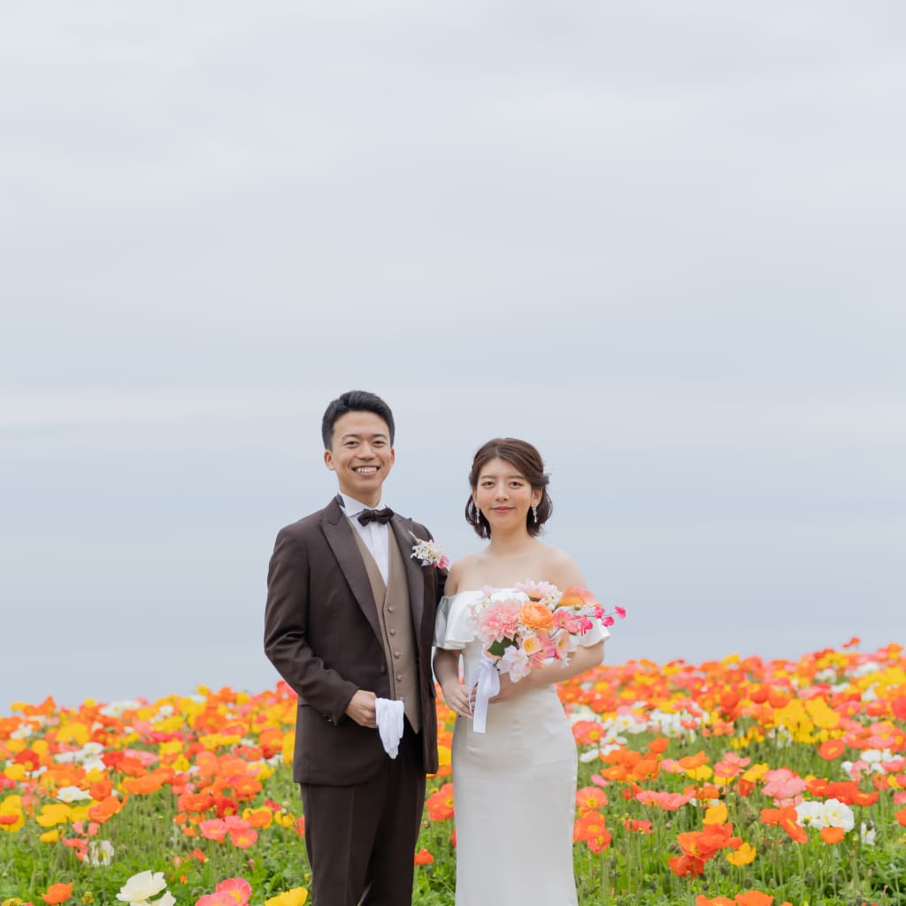 ポピーの花畑