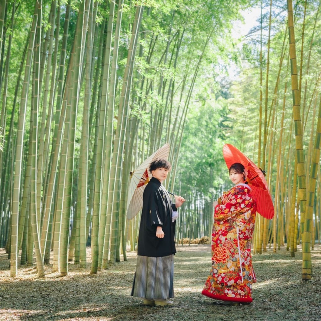 若竹の杜ロケーション🎋