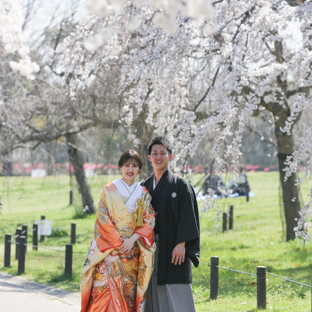 桜真っ盛りの大仙公園🌸