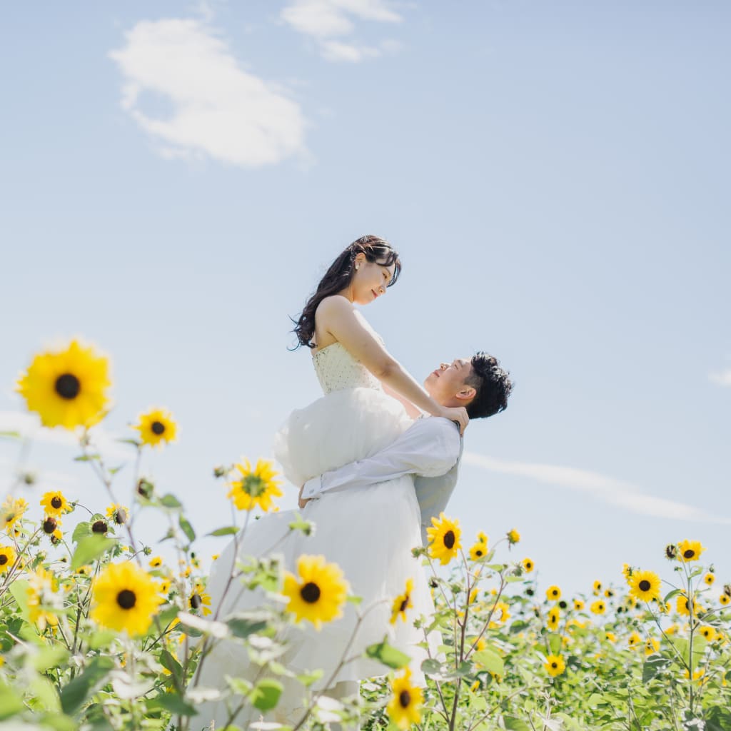 8月の撮影は満開のひまわり畑で決まり！！