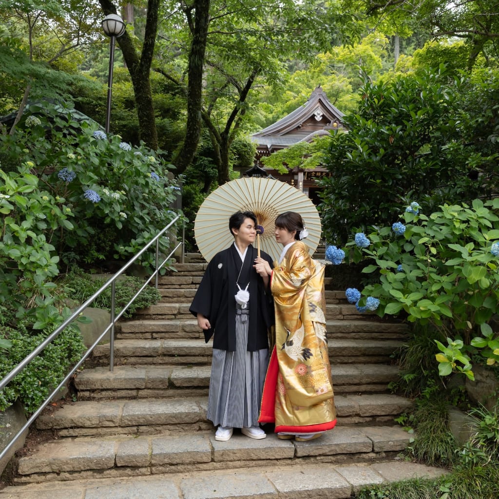 高幡不動尊の紫陽花+洋装ハウススタジオ