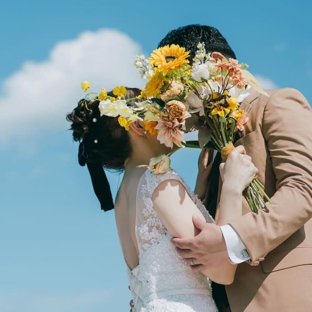 イメージカット