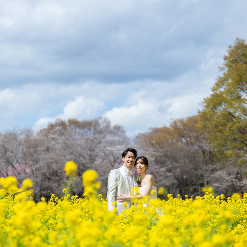 春爛漫！桜と菜の花、愛犬と叶えるウェディングフォト