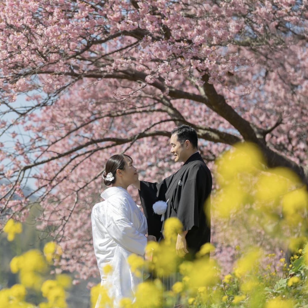 伊豆 河津桜/海/菜の花 など選べるロケーション