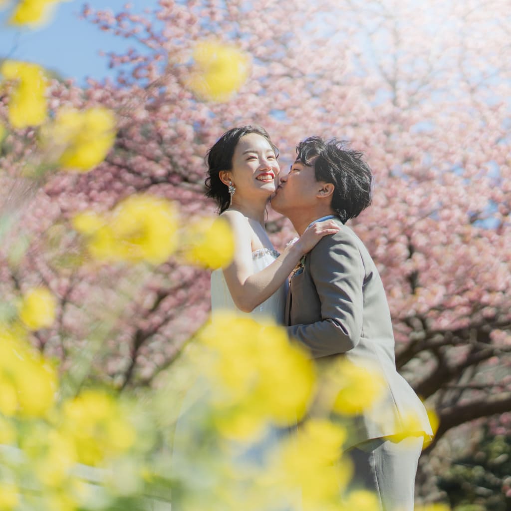 先行予約受付中！河津桜ロケーション