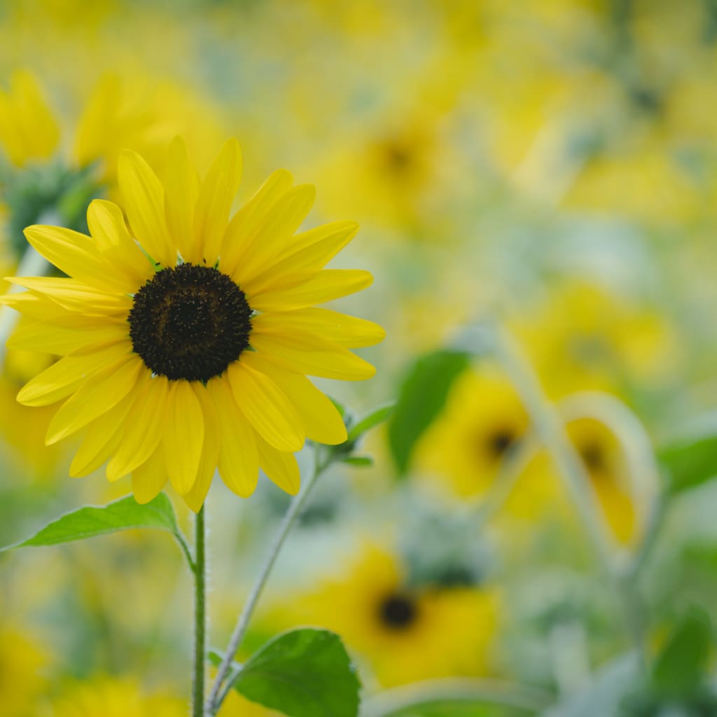 真夏のロケーション撮影！