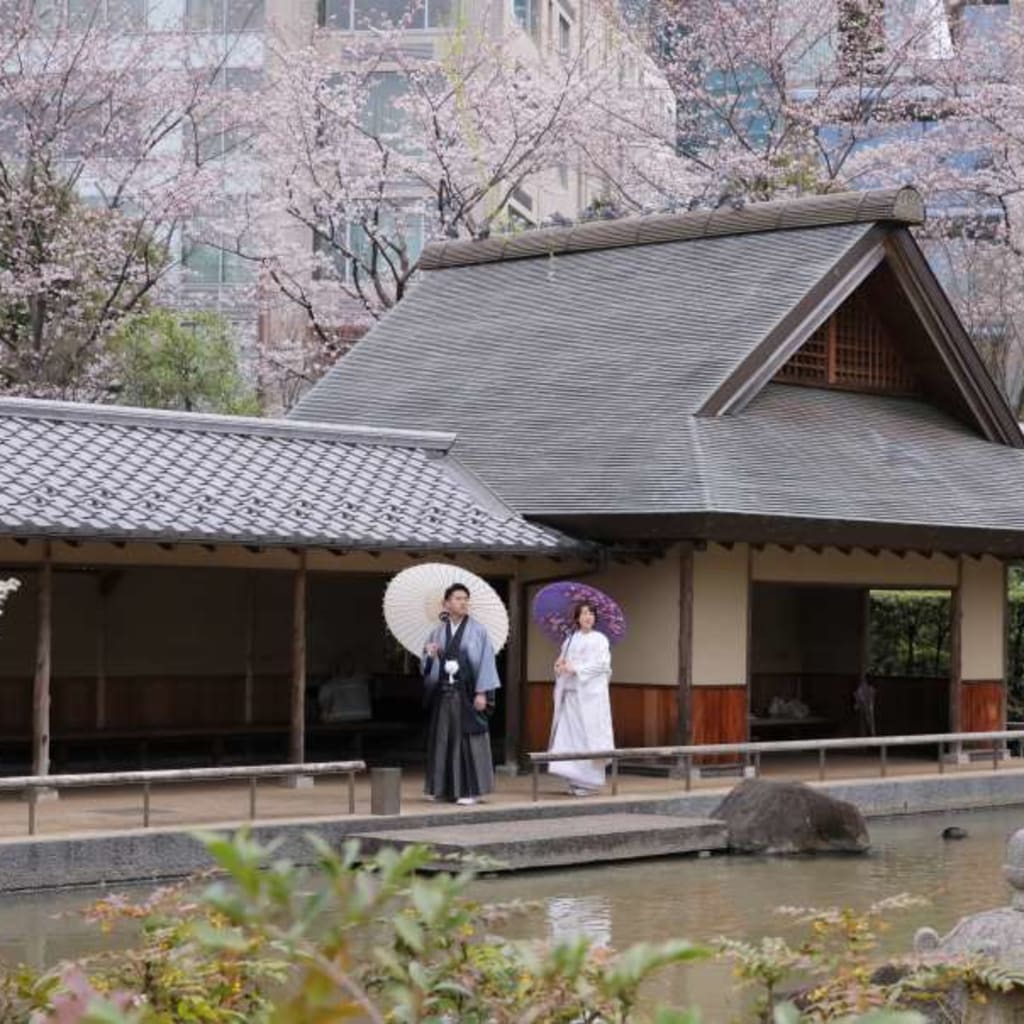 【大好評】今年の桜ロケーション撮影をご紹介in檜町公園♪