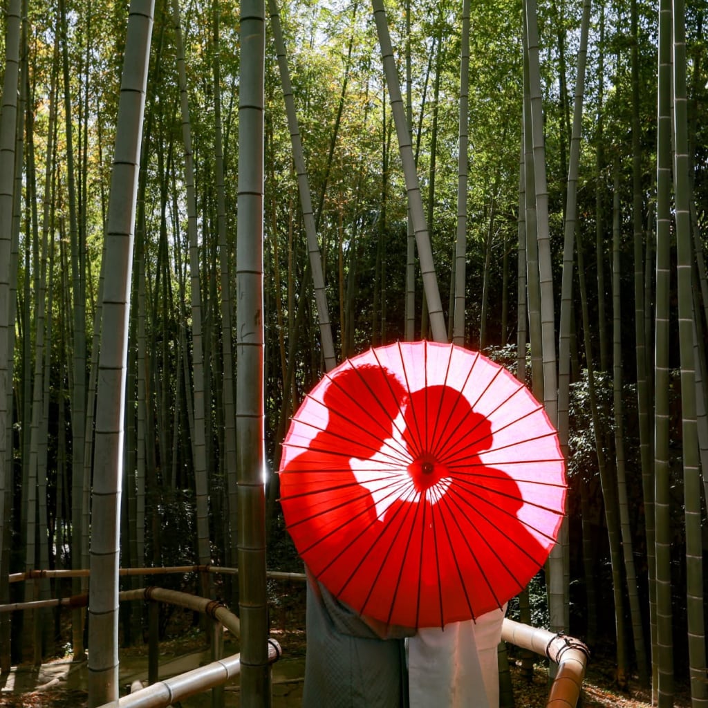【新緑×白無垢】白鳥庭園で心に残る和装ロケ♡初夏のおすすめスポット！
